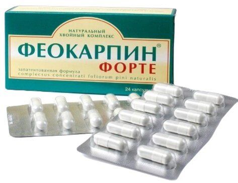 Феокарпин форте капс 05г 24 шт Феокарпин форте капс 05г 24 шт