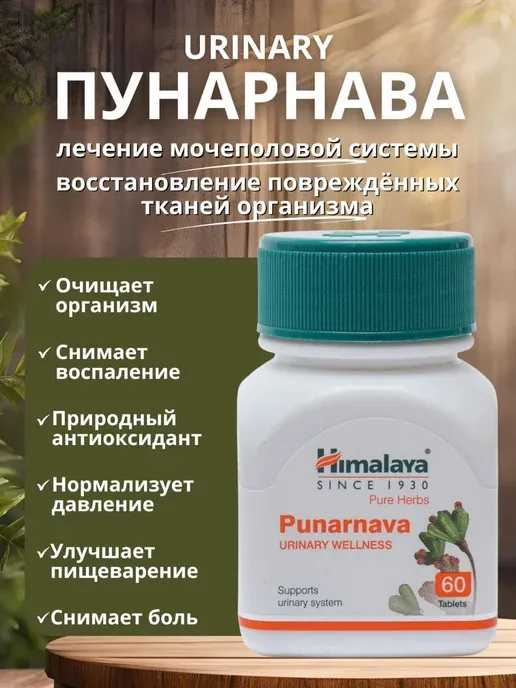 Пунарнава №60 капс.