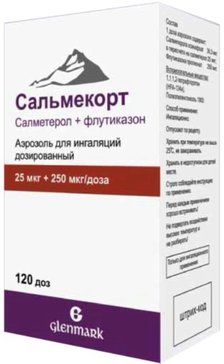 Сальмекорт аэрозоль для инг дозир 25мкг+250мкг/доза 120доз баллаэр пачка карт